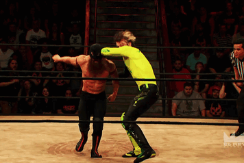Wrestling Giffer