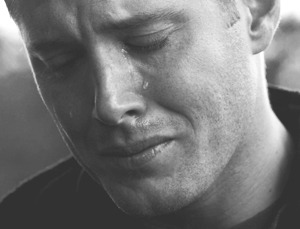 rockandrollchick:  Take my hand, take my whole life too for I can’t help falling