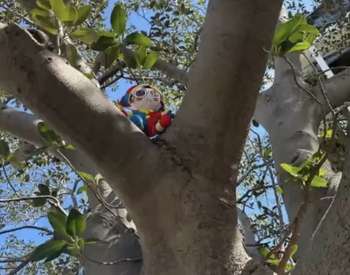 Pomknee
