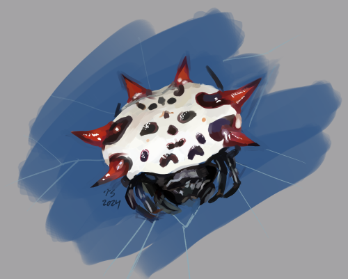 A rough, digital painting of a Spiny Backed Orb Weaver female. She is facing the camera, looking to the lower right of the canvas. Six red spikes adorn her black spotted abdomen. She sits on her web, in front of a plain blue background.
