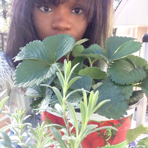 blackfairypresident: hello!! i am an agender babe with they/them pronouns!!!! i also love plants