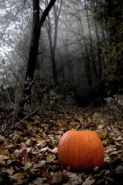 Wood Smoke and Pumpkins