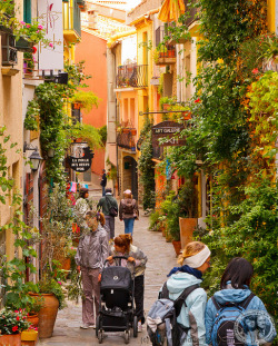 villesdeurope:  Collioure, France