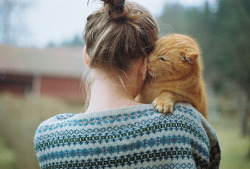 navig0:  untitled by Hanne//Beatle on Flickr.  I know I&rsquo;ve reblogged this before but her hair is nice and her sweater&rsquo;s amazing and the cat is fat and cute kk