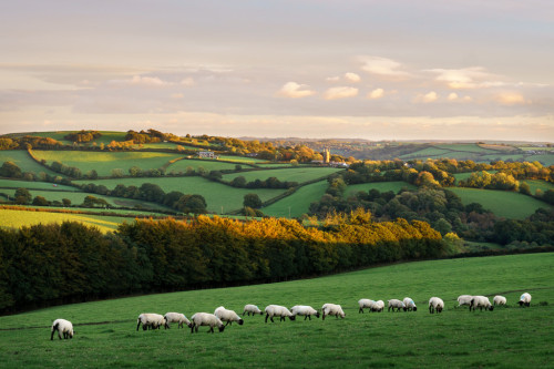 wanderlusteurope:Pillaton, Cornwall, England