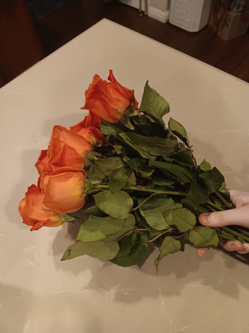 Dude, My Aunt Absolutely Rocks. She Brought Me Flowers Today As A Get Well Present Since I'm Finally