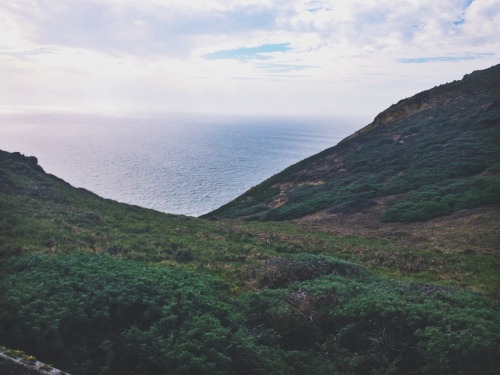 Porn Pics kplsn:  Point Reyes, CA 