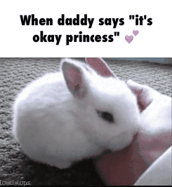 little-princessxox:  Awh 💞💞🐇🐇🐰🐰