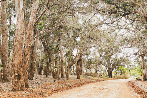 timefliestoday:  sem título by Jabbeltubel on Flickr. 