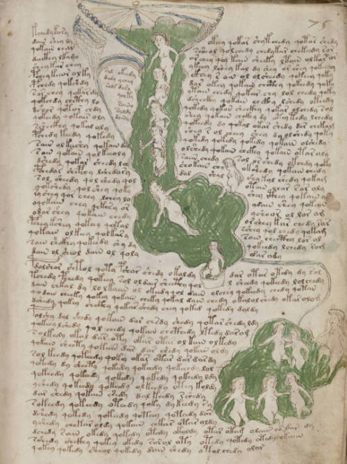 sharkchunks: Imagery from the Voynich Manuscript