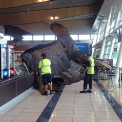 elphabaforpresidentofgallifrey:  youraveragebadass:  A one ton Eagle model from The Hobbit trilogy that was hung on the ceiling in a new zealand airport fell down on a noodle canteen after an earthquake hit.  that sentence was a roller coaster ride from