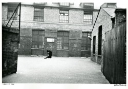 Robert Frank - London, 1951.