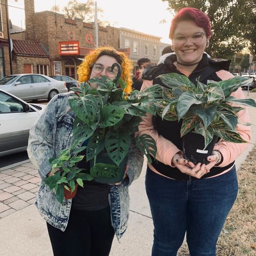 . . . . #loves #loveofmylife #monsteraadansonii #aglaonema #houseplantaddicted #cuties (at The Plant