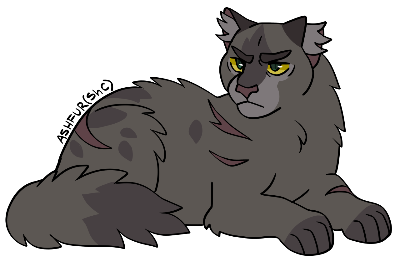 Just another warrior cat design blog — Ashfur