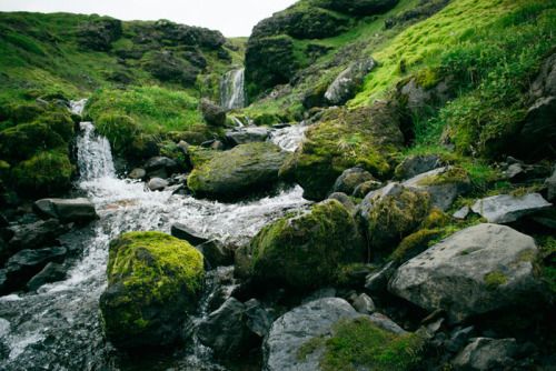 vacilandoelmundo:Snæfellsnes, Iceland
