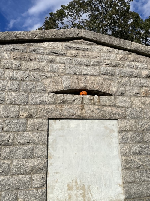 I Love You Whoever Put A Pumpkin In The Mausoleum