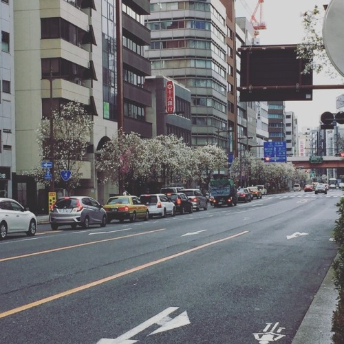 tokyomicma:  went to a washi (japanese style of paper) shop/museum the other day in nihombashi. everything there is made of paper (except the bottom pic thats just a street view of the town)