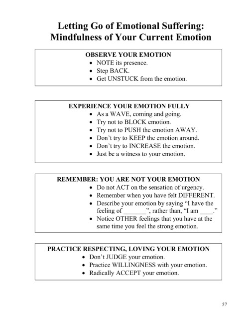 brownangelemoji:  DBT Skills Handbook