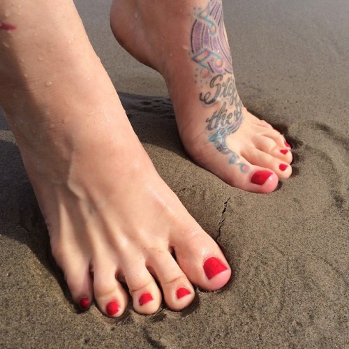dominalynn: Beach feet! #footfetish #feet #toes #mistress