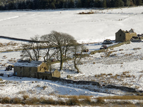 Farm ruins, Black Cleugh, near Allenheads