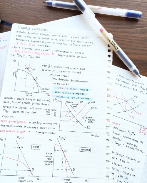The Reason Why I Never Post Studying Tips Is Bcoz I Procrastinate Like Cray And Im Def The Last Person