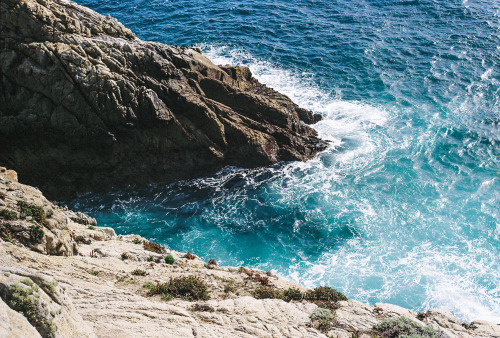 Sex buphotography:  Point Lobos, CACanon AE-1, pictures