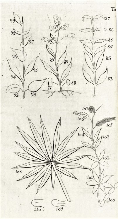 Science SaturdaySwedish naturalist Carl Linnaeus (1707–1778) is most well known for establishing a s