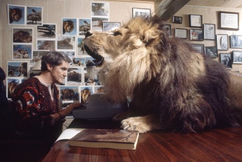 egocollatisviribus:  These photographs show Tippi Hedren — star of Alfred Hitchcock’s The Birds — with her husband, director Noel Marshall, and her daughter, actress Melanie Griffith, and their lion, Neil.  Hedren founded Roar Foundation and Shambala