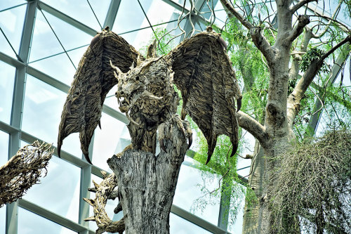 littlelimpstiff14u2: Giant Dragons Made Out Of  Driftwood By James Doran-Webb A wyvern is a fou