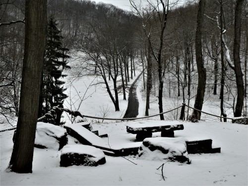 Allegheny Cemetery 1-31-21-18