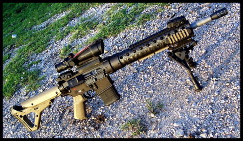 whiskeyandspentbrass:  This is basically what my AR is going to end up looking like, except all or mostly Foliage Green with some nose art on the lower and teeth on the handguard.
