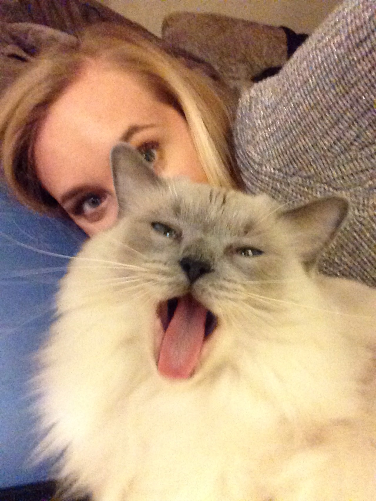 blacklightbunny:  convolvulux:  pasha and i are WAY too elegant tbh  Cuties, the