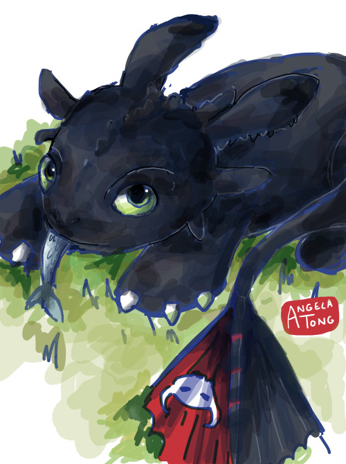 dreamsoffools:Recently I’ve been drawing so much Toothless… I love this little dude Her