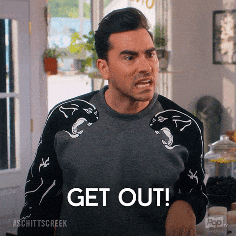 David Rose Moments That Are Perfect Memes For S5 Of LITG