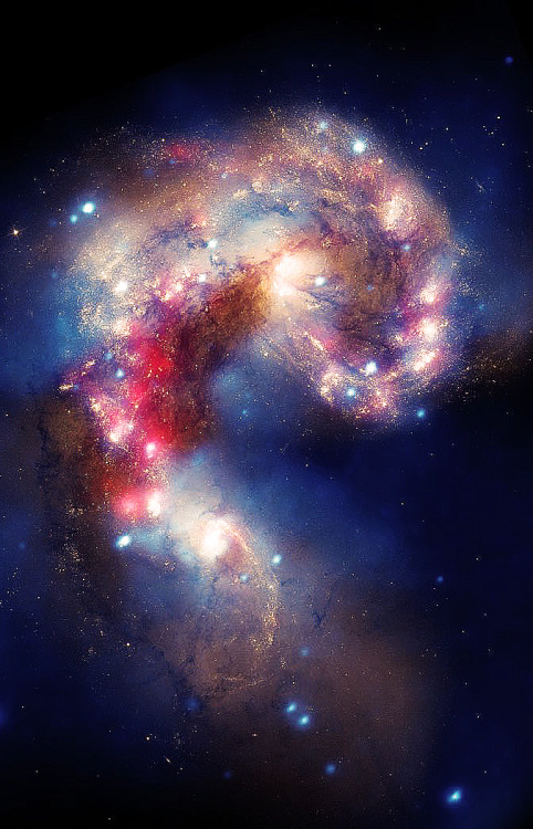 spacewonder19:  Antennae Galaxies_NGC 4038/9 adult photos