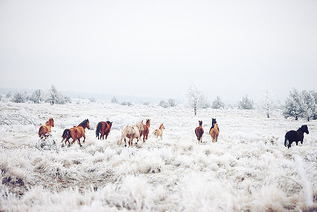  untitled by kevin russ on Flickr. 