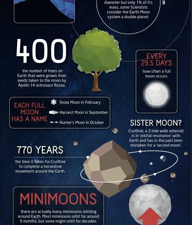 sixpenceee:  50 Amazing Fact About the Moon (Source) 