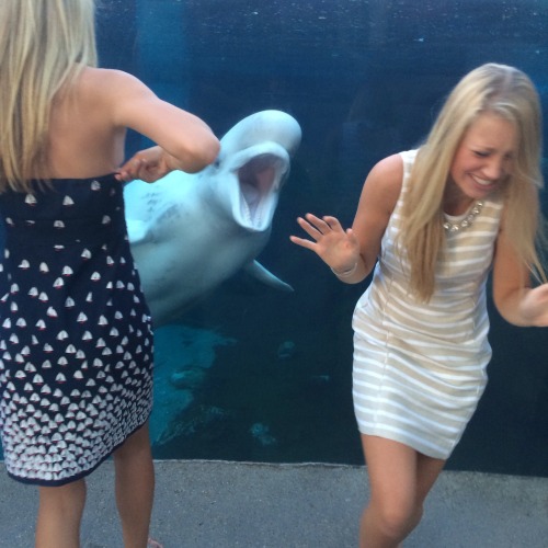 ackwhales:  Story of my life