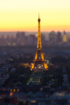 c1tylight5:
“ Toy Eiffel Tower | Mohamed Khalil El Mahrsi ”