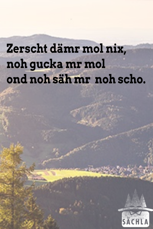  Zerscht dämr mol nix,noh gucka mr molond noh säh mr  noh scho.https://saechla.de/