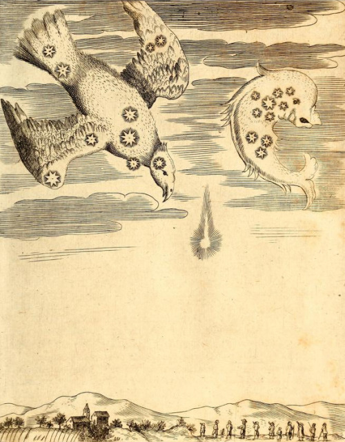 magictransistor:Gaspar Schott. Physica Curiosa, Mirabilia Naturæ et Artis. 1662.  Contd from here