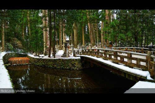 Okunoin Cemetery, Mount Koya by Christopher Chan on Flickr.