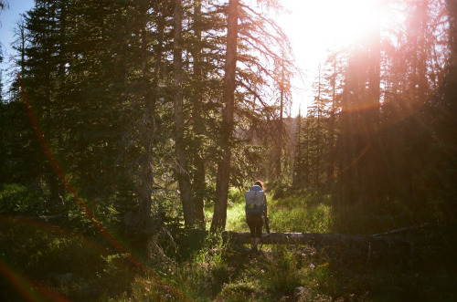 A short backpacking trip in one of my favorite states with some of my favorite people.The Uintas | J