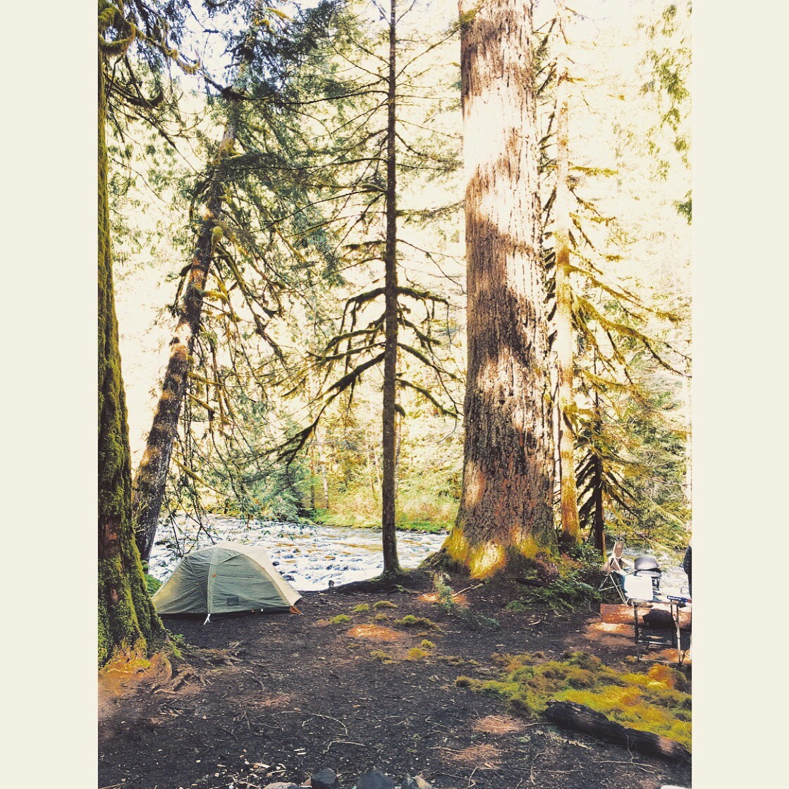 georgiapeachesandpearls:  Camping last weekend was in tents🏕 