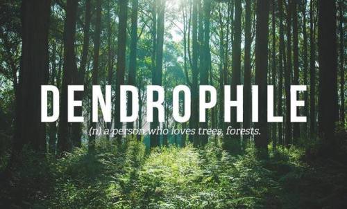 DENDROPHILE(n) a person who loves trees, forests. Follow Us On FacebookFollow  us on Insta