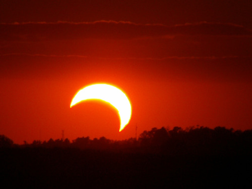 chocolateharmonyperson:sixpenceee:The following are pictures of rare sunset solar eclipses. They are