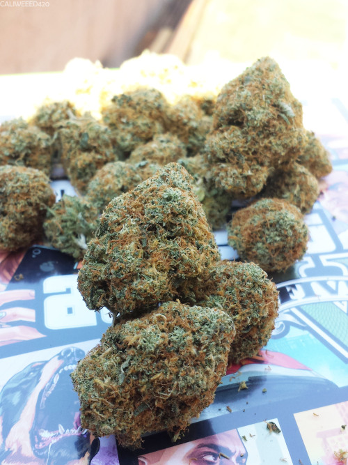 caliweeed420:  Bubble gum og and Gta 5! 