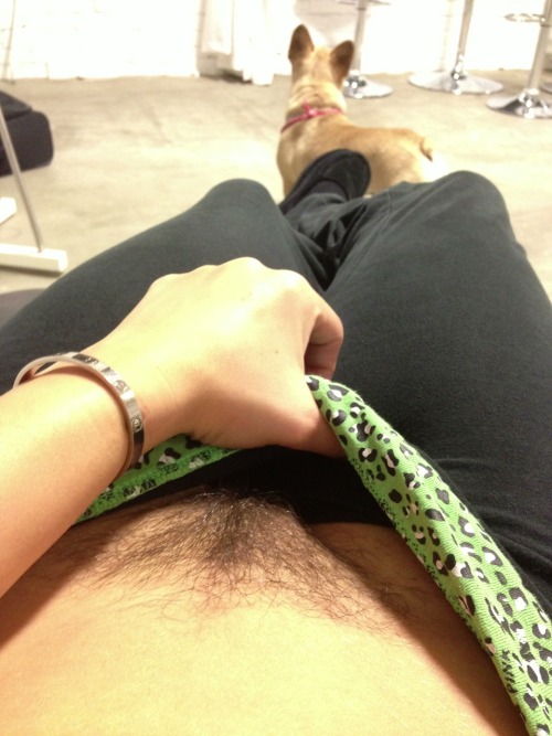 missdanidaniels:  #dailybush
