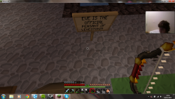 So I went on minecraft and I found this… 