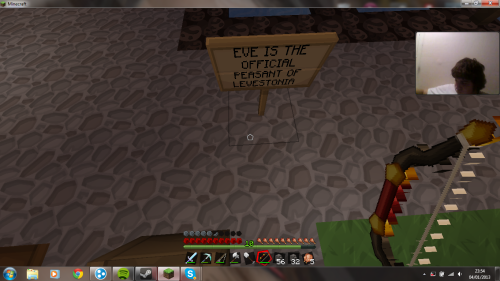 So I went on minecraft and I found this…  adult photos